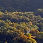 La Chapelle de Chermont 1
