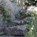 Les Vieilles Pierres de Saint Cergues 36